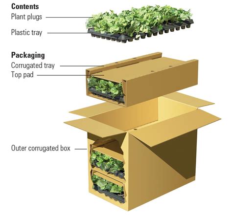 cheapest way to ship plants.